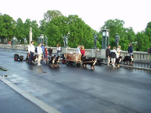 Frognerparken 2003
